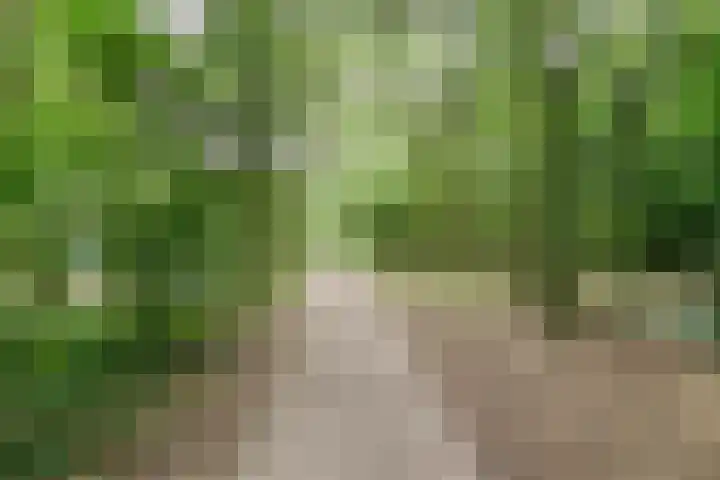 Laan van Vollenhove 352 Zeist thumbnail 33