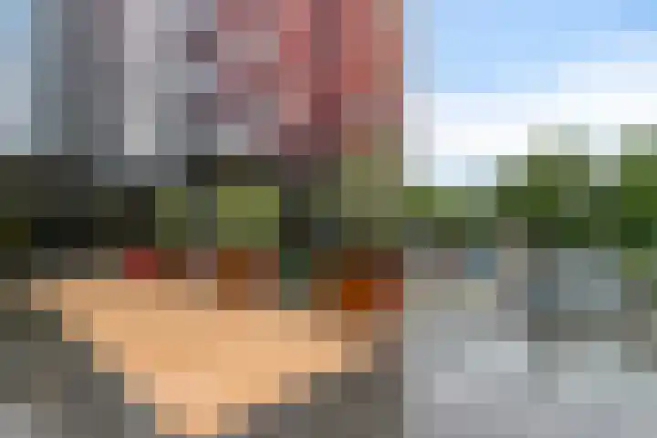 Laan van Vollenhove 352 Zeist thumbnail 7