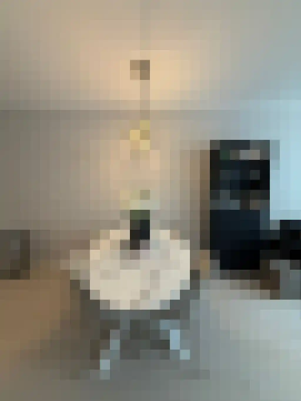 Laan van Vollenhove 36 Zeist thumbnail 5