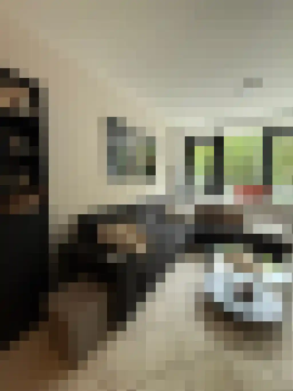Laan van Vollenhove 36 Zeist thumbnail 6