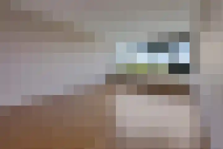 Laan van Vollenhove 360 Zeist thumbnail 16