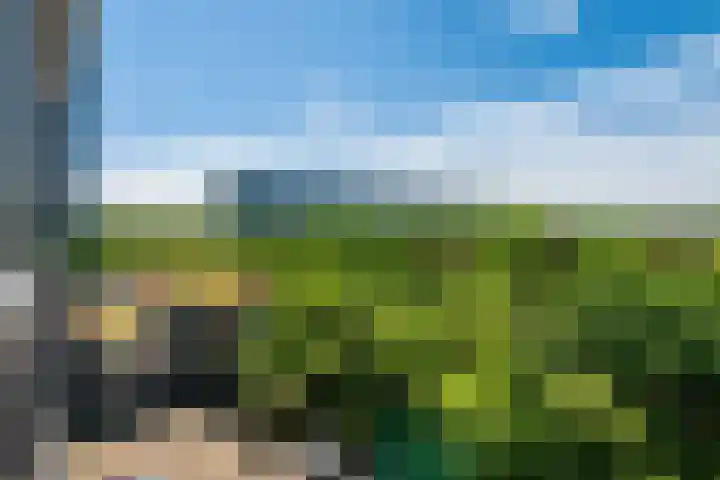 Laan van Vollenhove 360 Zeist thumbnail 20