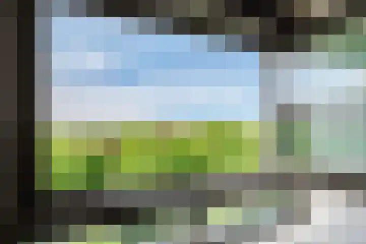 Laan van Vollenhove 360 Zeist thumbnail 21