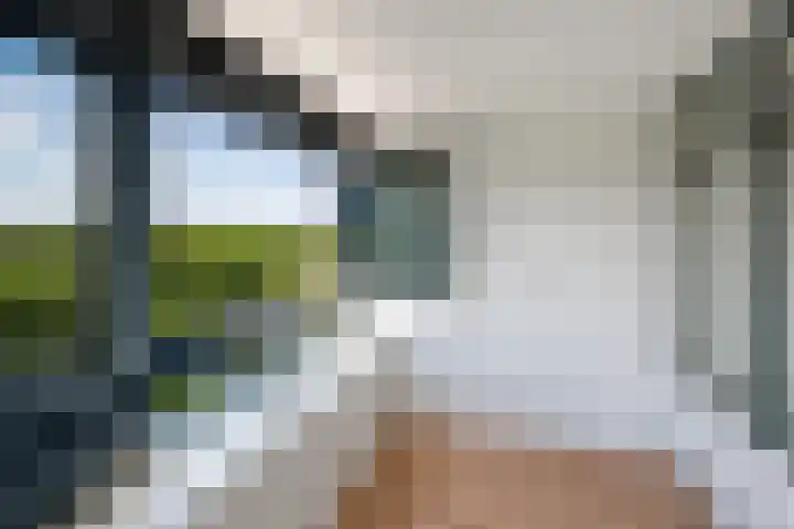 Laan van Vollenhove 360 Zeist thumbnail 22