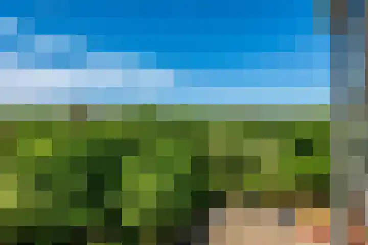 Laan van Vollenhove 360 Zeist thumbnail 28