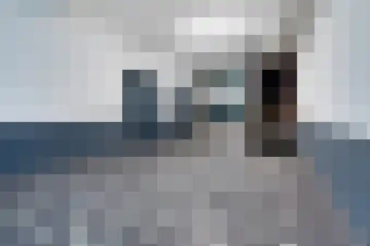 Laan van Vollenhove 360 Zeist thumbnail 29