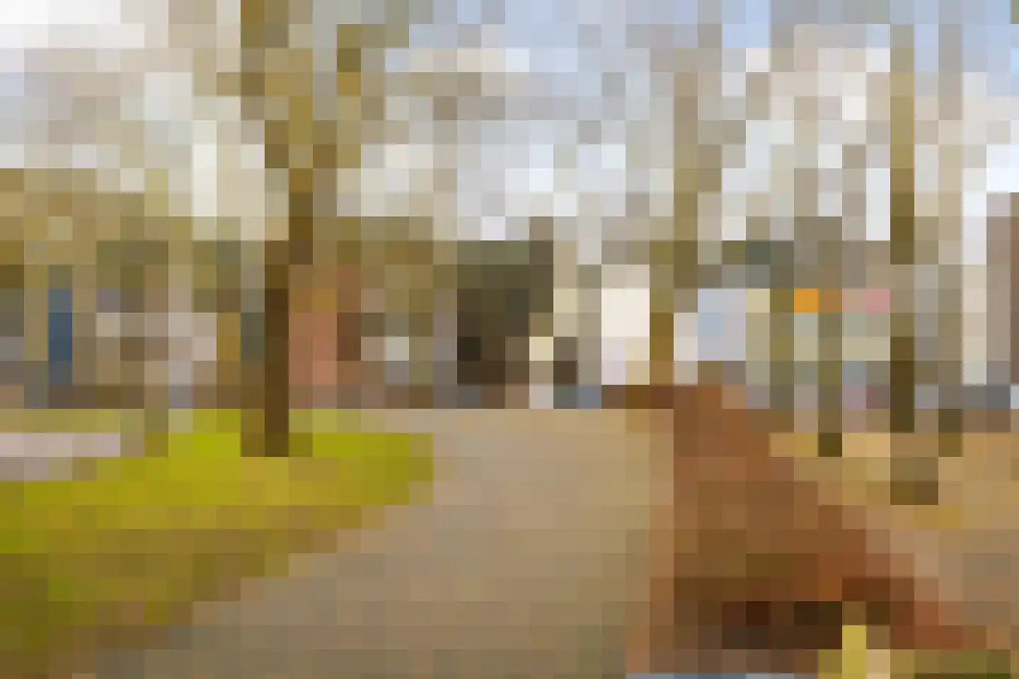 Laan van Vollenhove 396 Zeist thumbnail 38