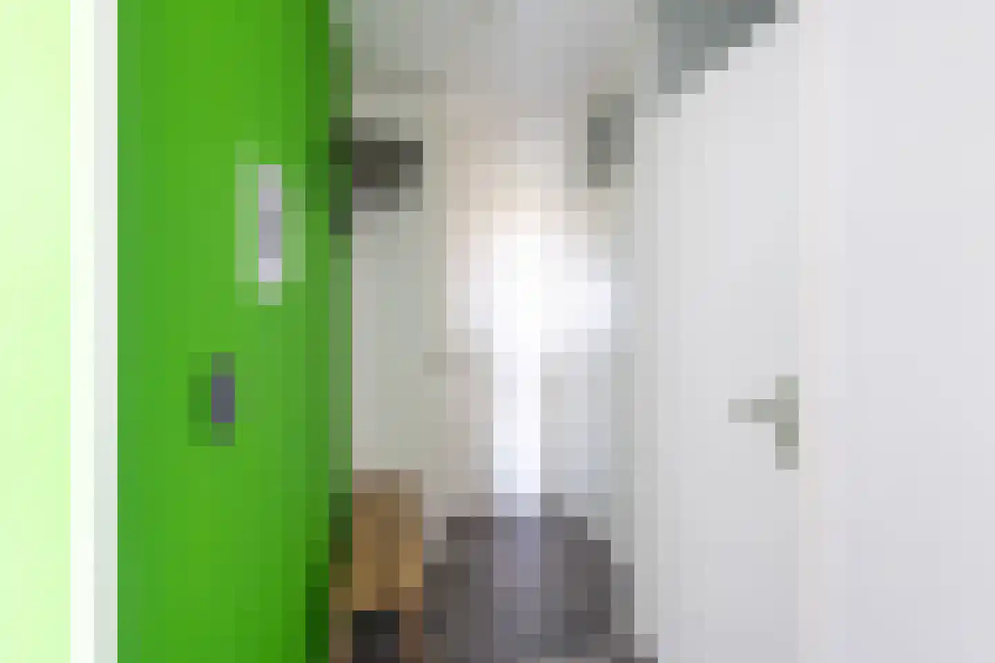 Laan van Vollenhove 396 Zeist thumbnail 8