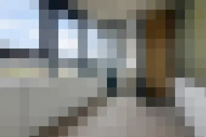Laan van Vollenhove 440 Zeist thumbnail 15