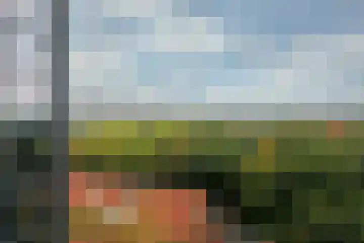 Laan van Vollenhove 440 Zeist thumbnail 16