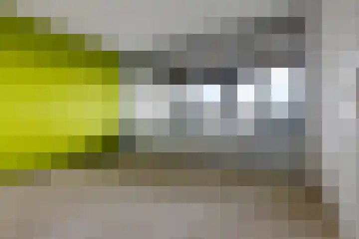 Laan van Vollenhove 440 Zeist thumbnail 17