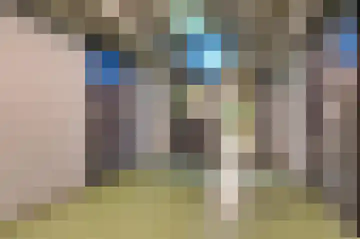 Laan van Vollenhove 440 Zeist thumbnail 23