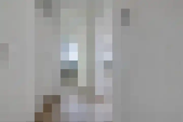 Laan van Vollenhove 440 Zeist thumbnail 9