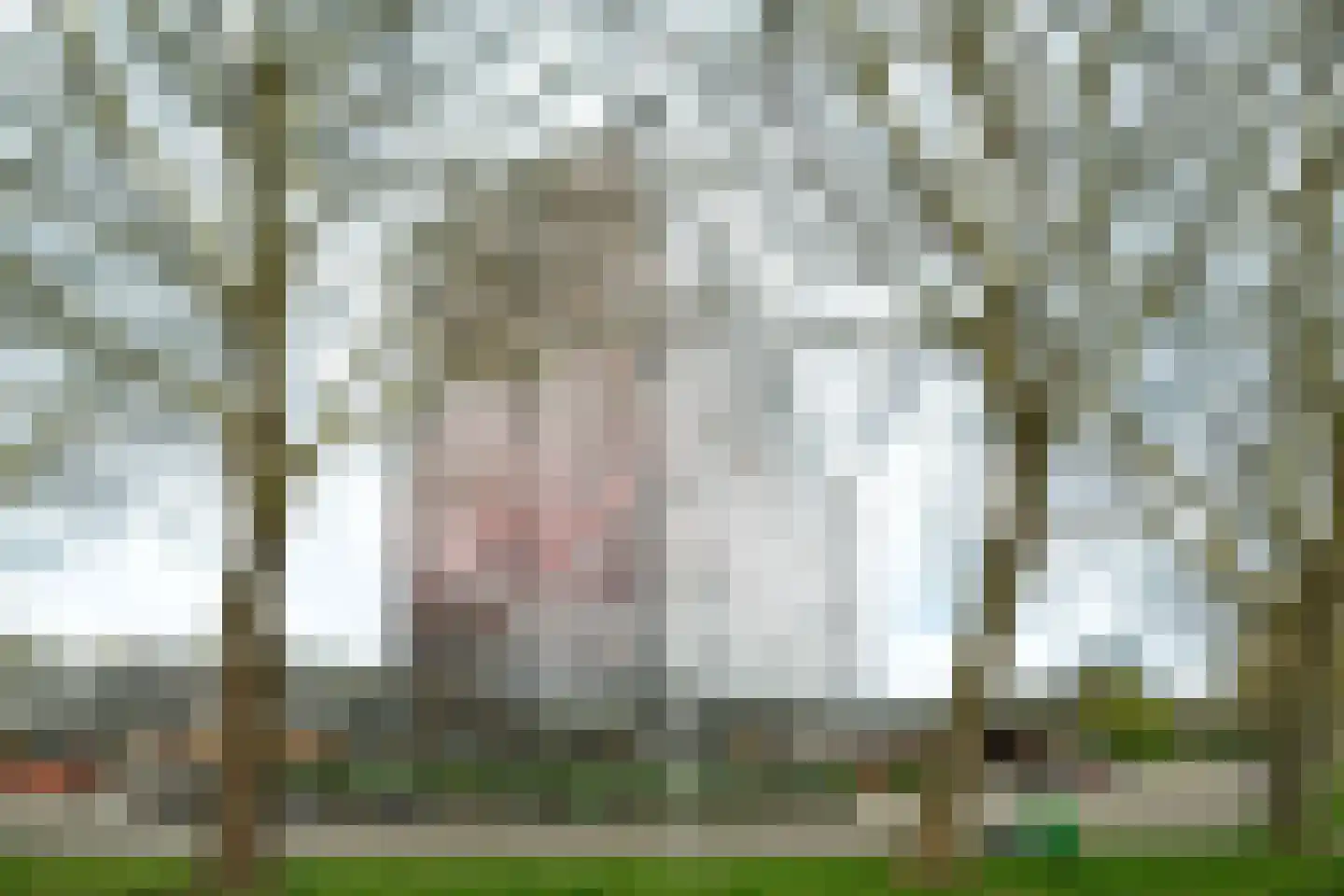 Laan van Vollenhove 466 Zeist thumbnail 24