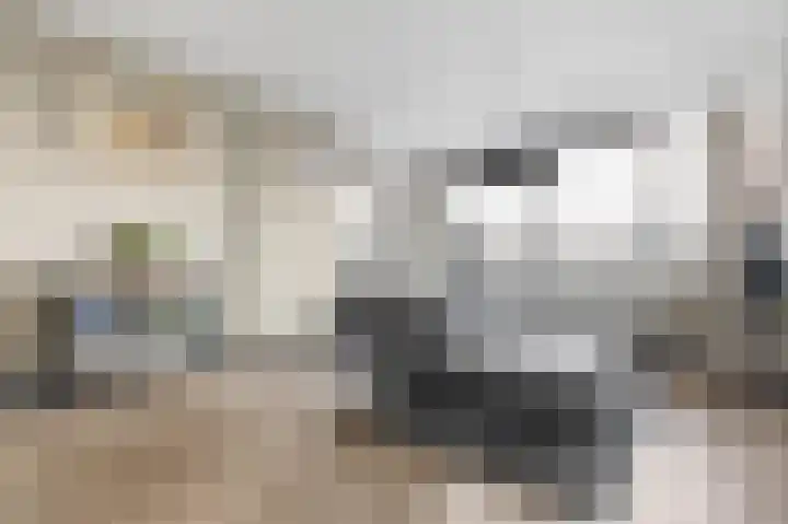 Laan van Vollenhove 472 Zeist thumbnail 19