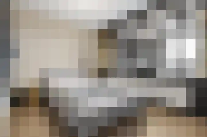 Laan van Vollenhove 472 Zeist thumbnail 5