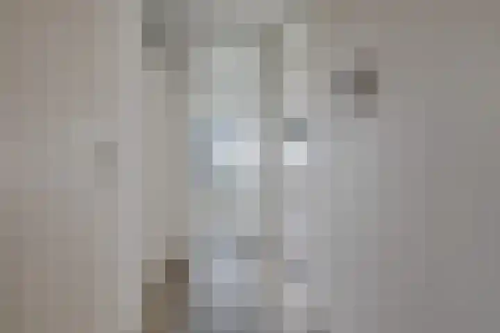 Laan van Vollenhove 496 BIS Zeist thumbnail 8