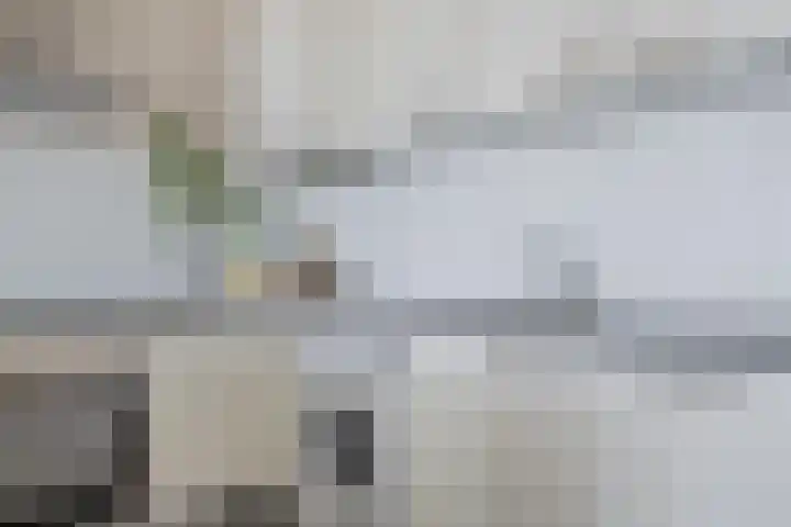 Laan van Vollenhove 498 Zeist thumbnail 12