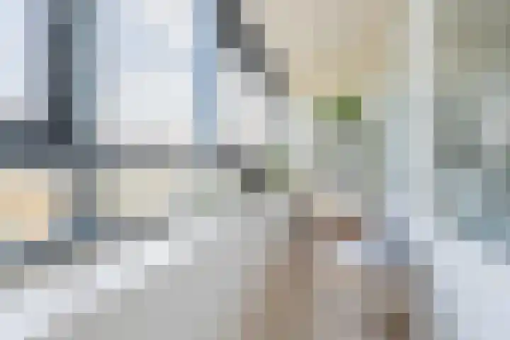 Laan van Vollenhove 498 Zeist thumbnail 34