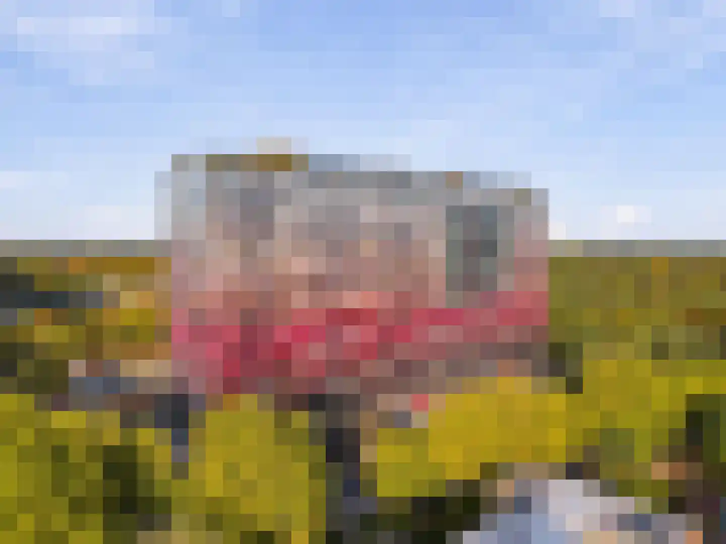 Laan van Vollenhove 500 Zeist thumbnail 15