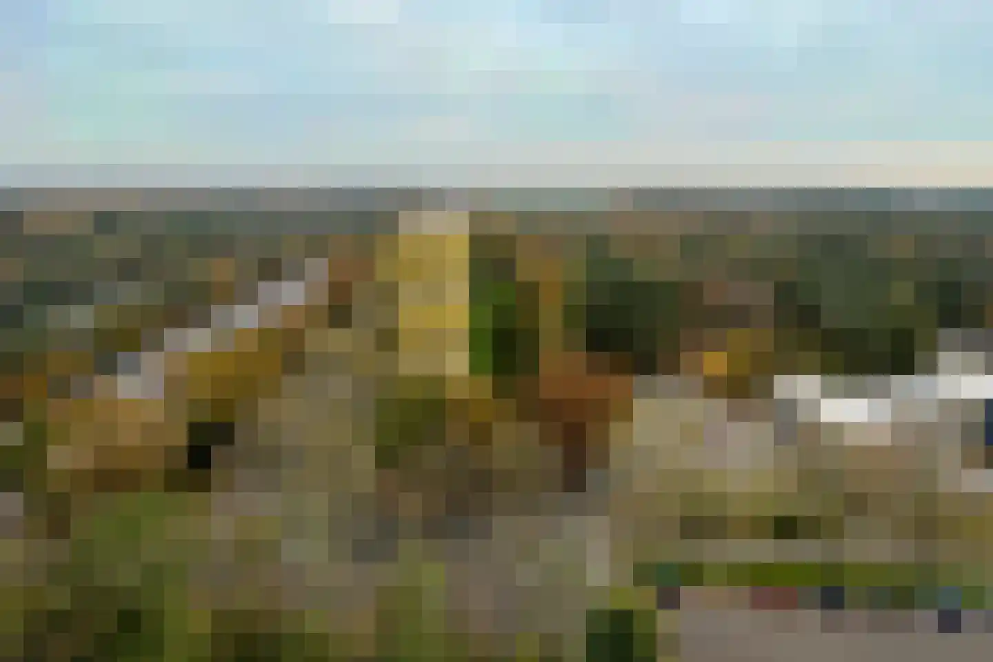 Laan van Vollenhove 500 Zeist thumbnail 22