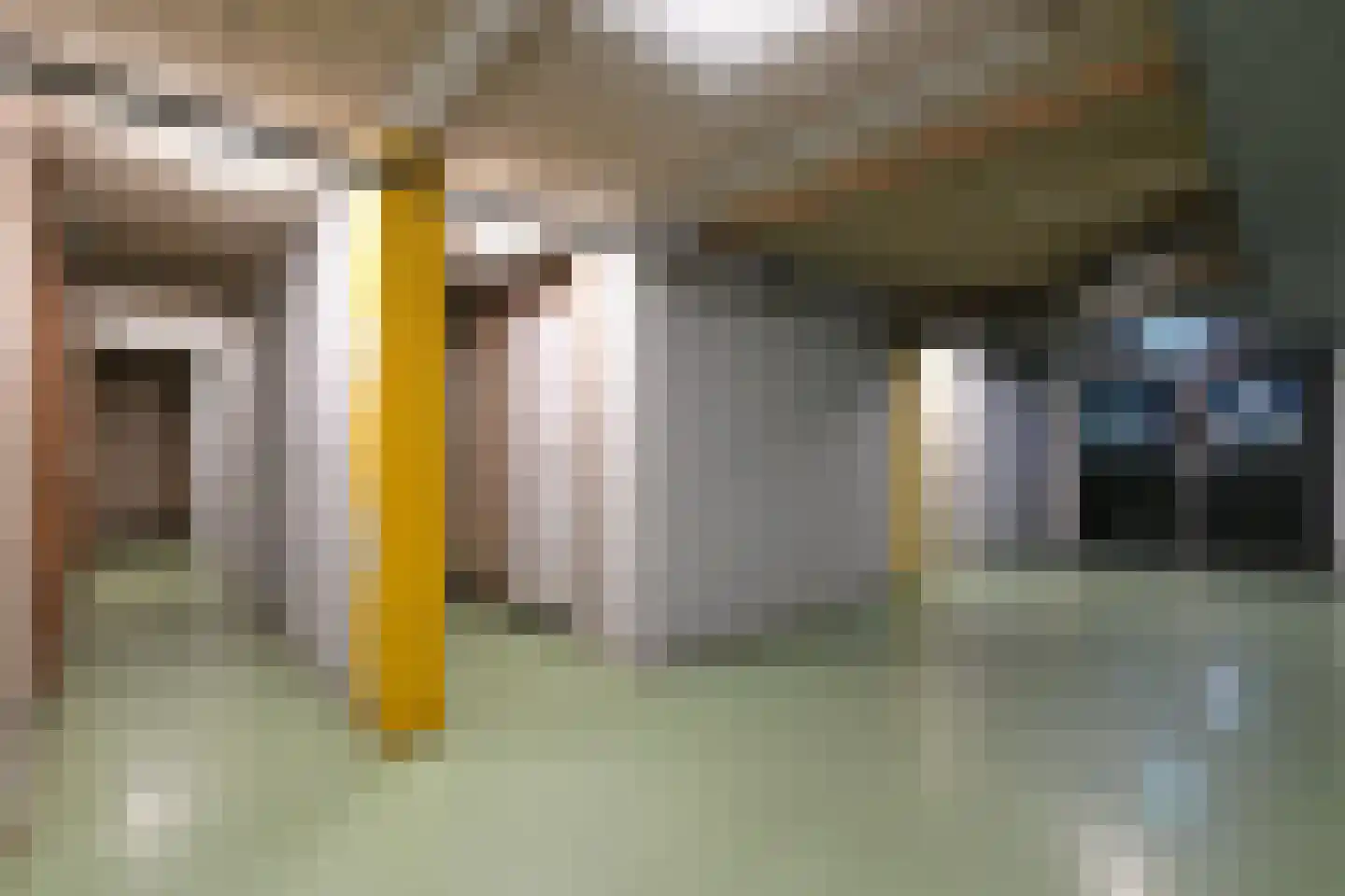 Laan van Vollenhove 500 Zeist thumbnail 26