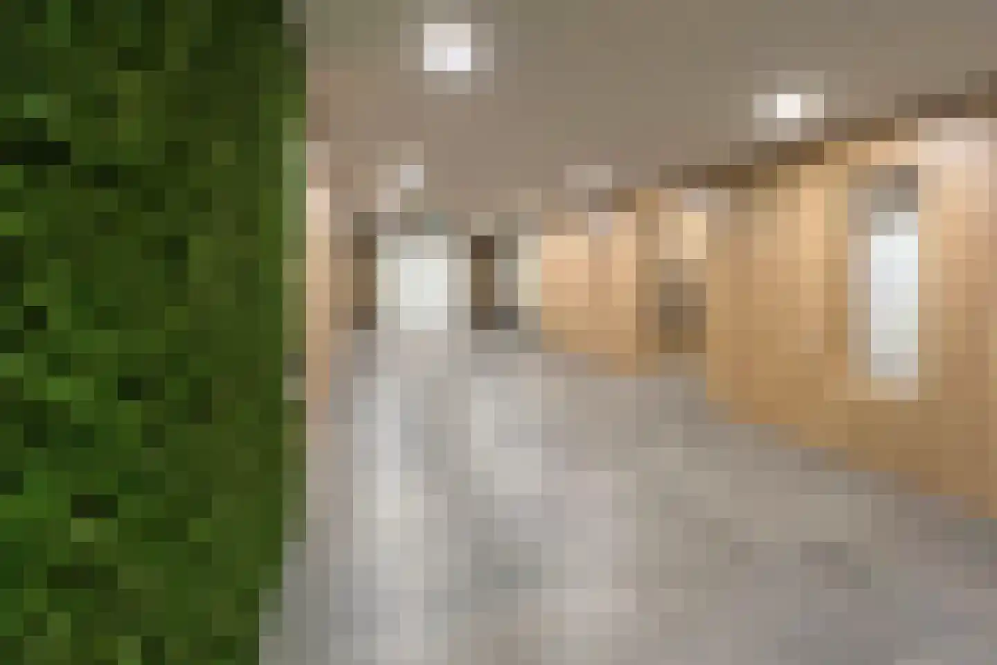 Laan van Vollenhove 500 Zeist thumbnail 7
