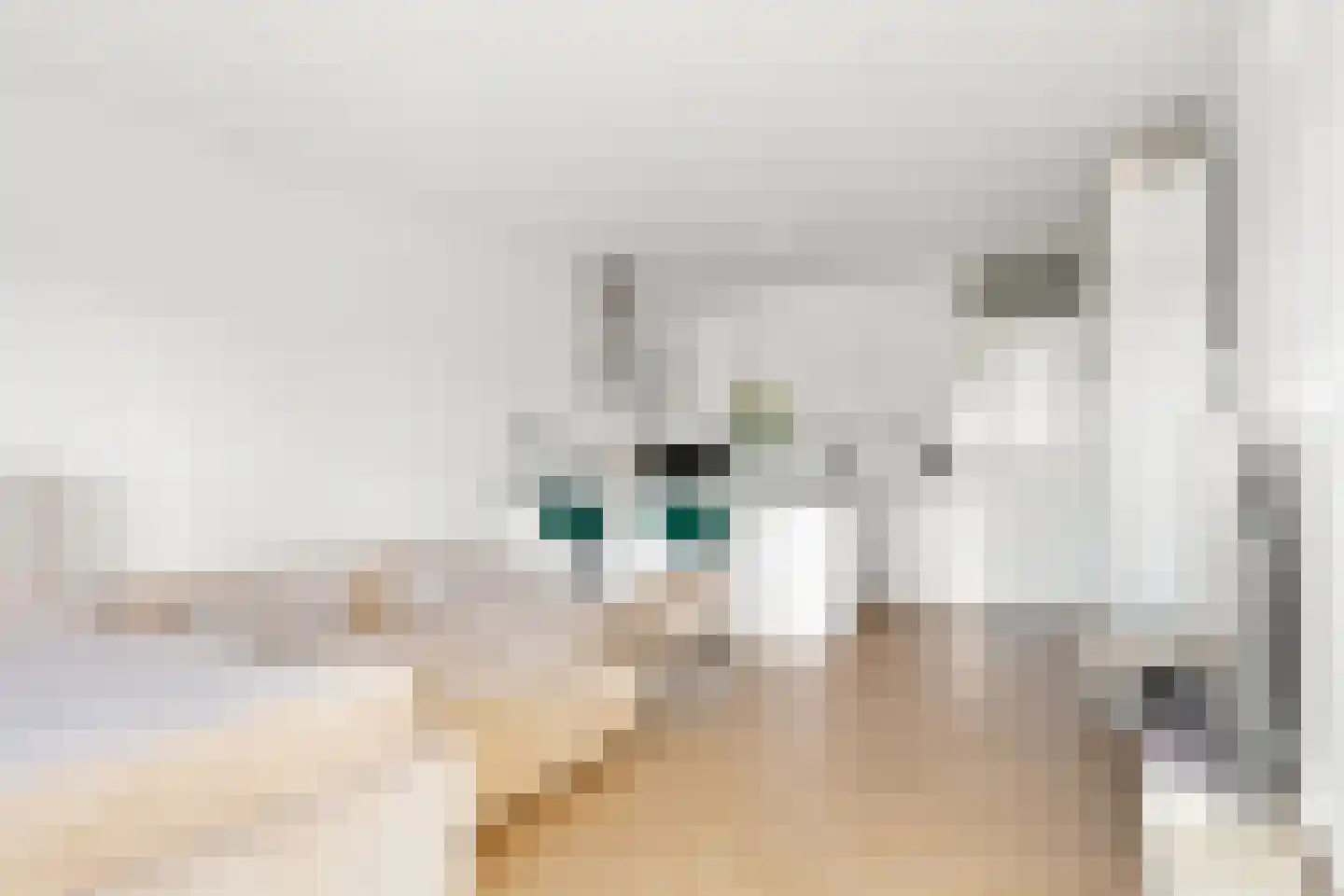 Laan van Vollenhove 500 Zeist thumbnail 9