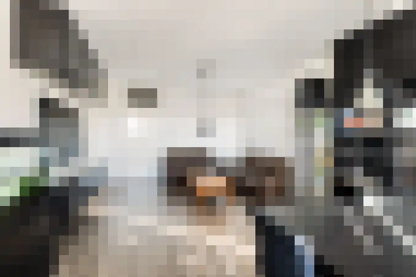 Laan van Vollenhove 512 Zeist thumbnail 25