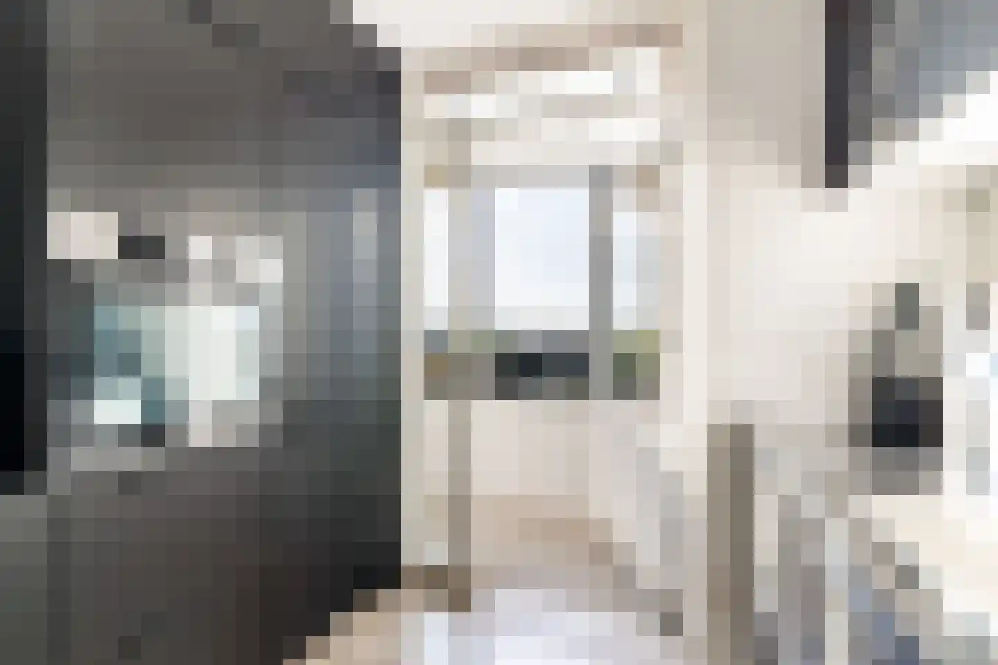 Laan van Vollenhove 512 Zeist thumbnail 28
