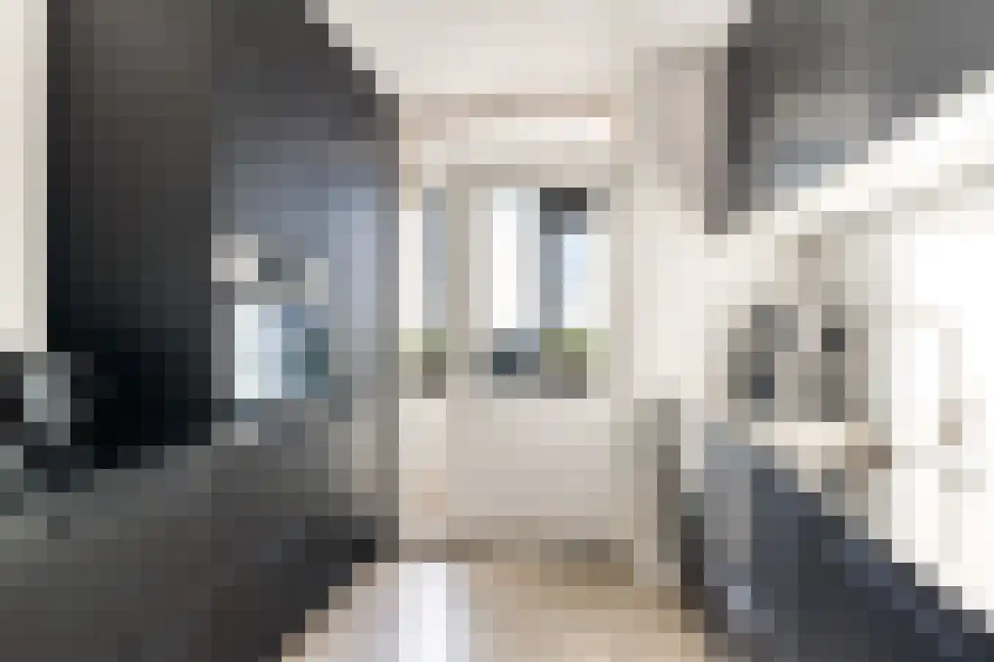 Laan van Vollenhove 512 Zeist thumbnail 30