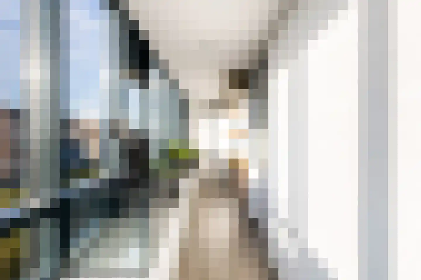 Laan van Vollenhove 512 Zeist thumbnail 34