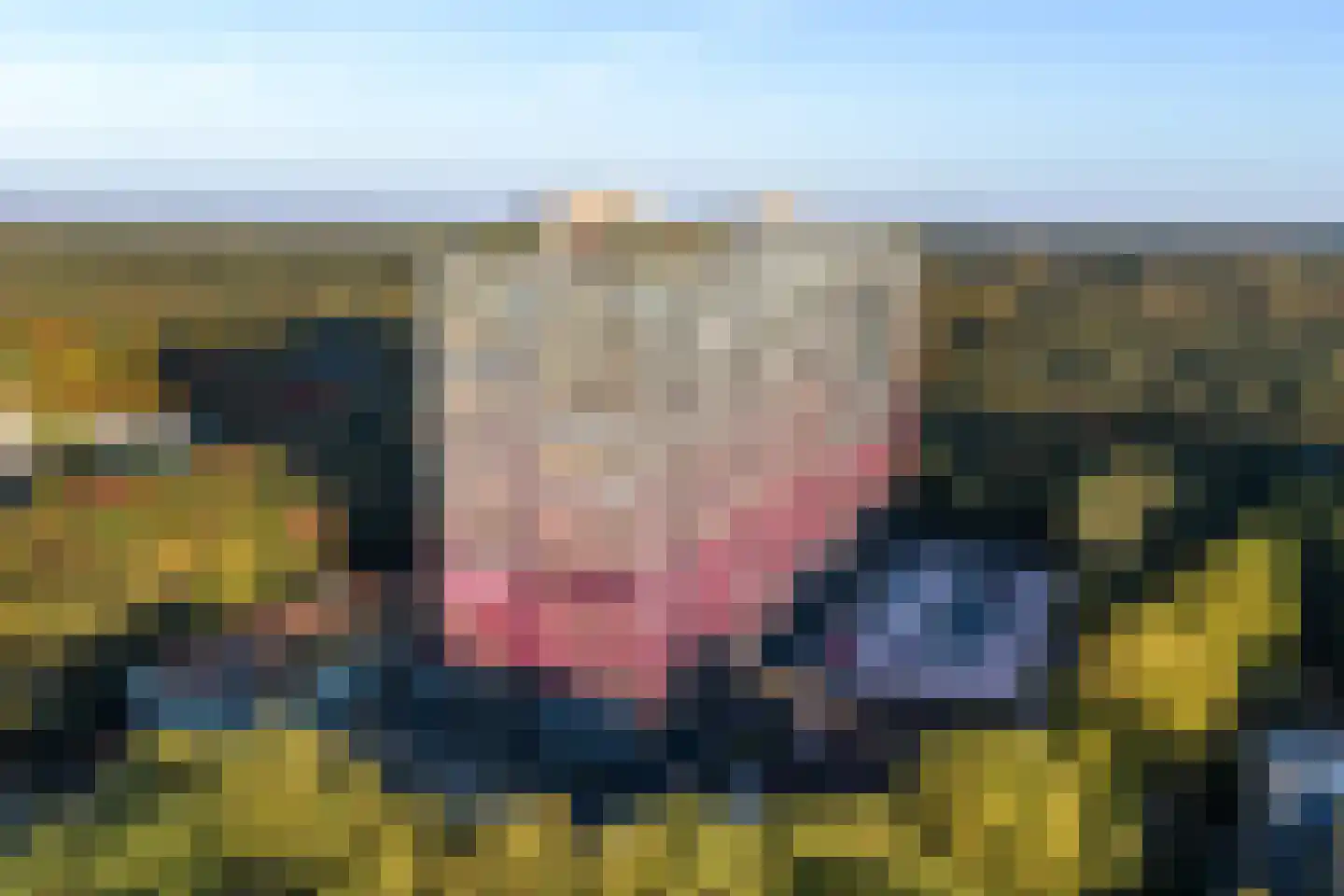 Laan van Vollenhove 512 Zeist thumbnail 8