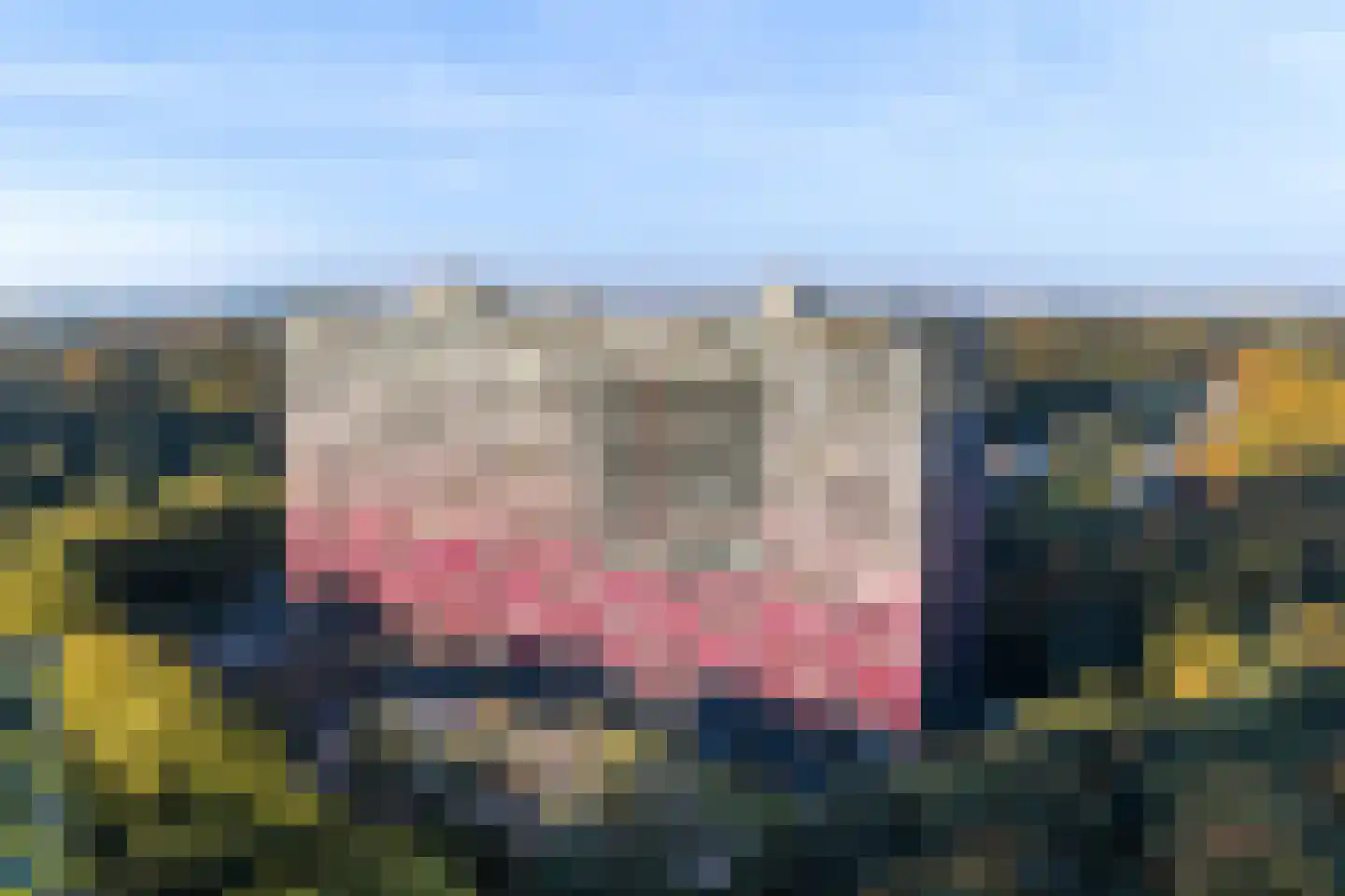 Laan van Vollenhove 512 Zeist thumbnail 9