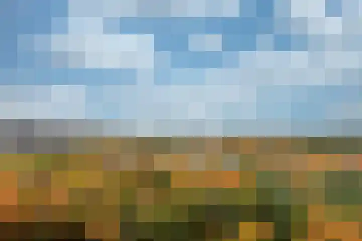 Laan van Vollenhove 522 BIS Zeist thumbnail 15