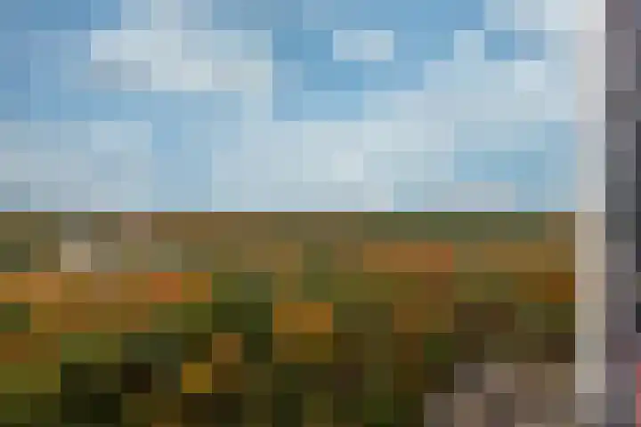 Laan van Vollenhove 522 BIS Zeist thumbnail 16