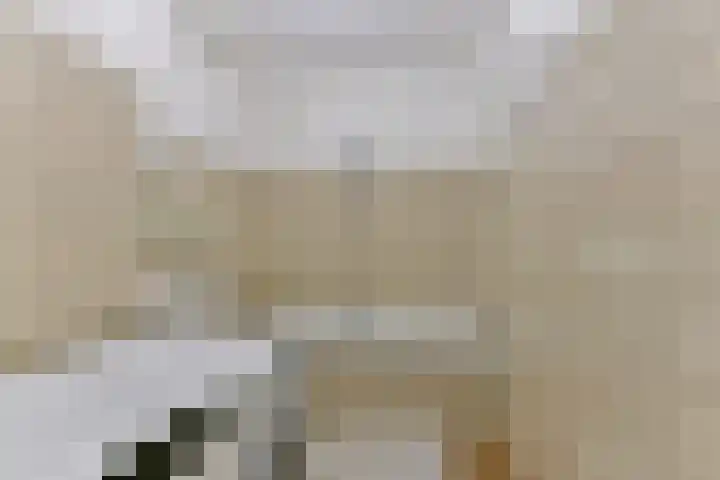 Laan van Vollenhove 522 BIS Zeist thumbnail 34
