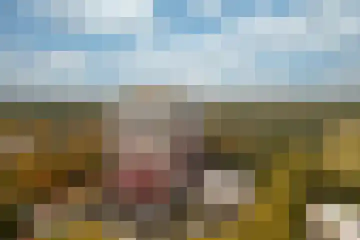 Laan van Vollenhove 522 BIS Zeist thumbnail 5