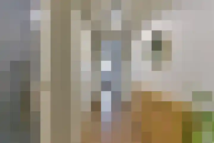Laan van Vollenhove 522 BIS Zeist thumbnail 9