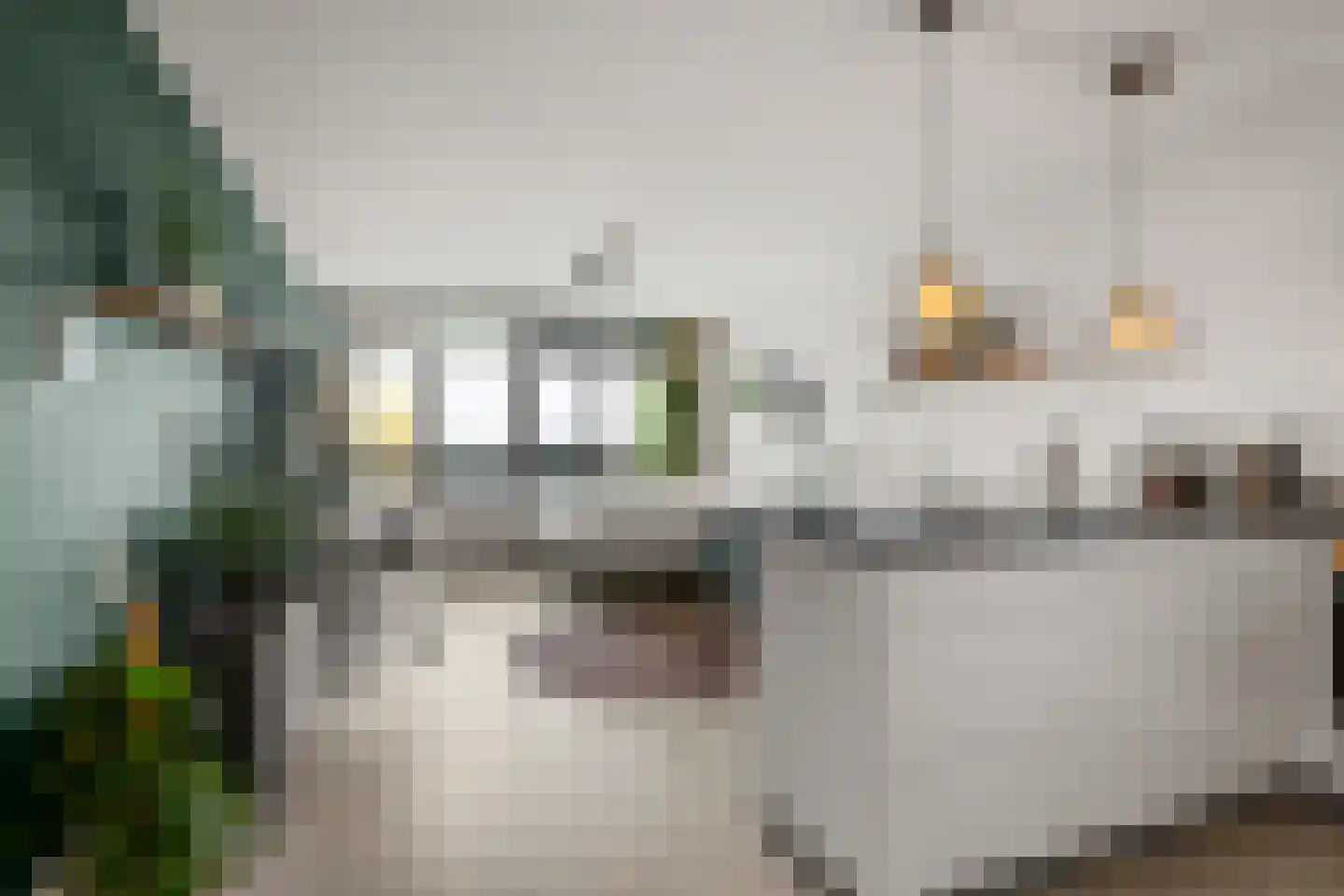 Laan van Vollenhove 532 Zeist thumbnail 16