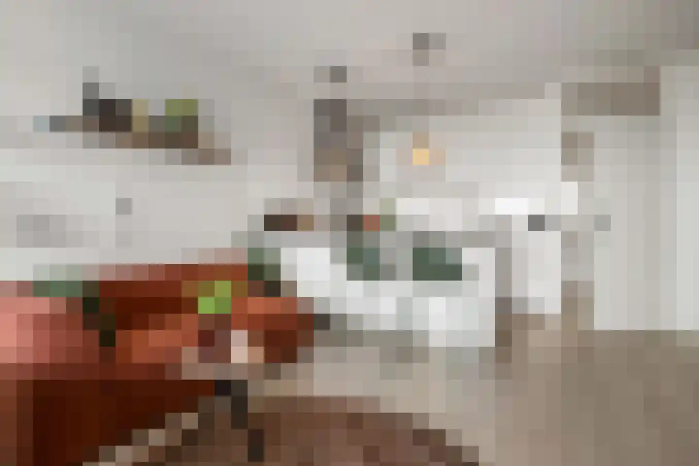 Laan van Vollenhove 532 Zeist thumbnail 22