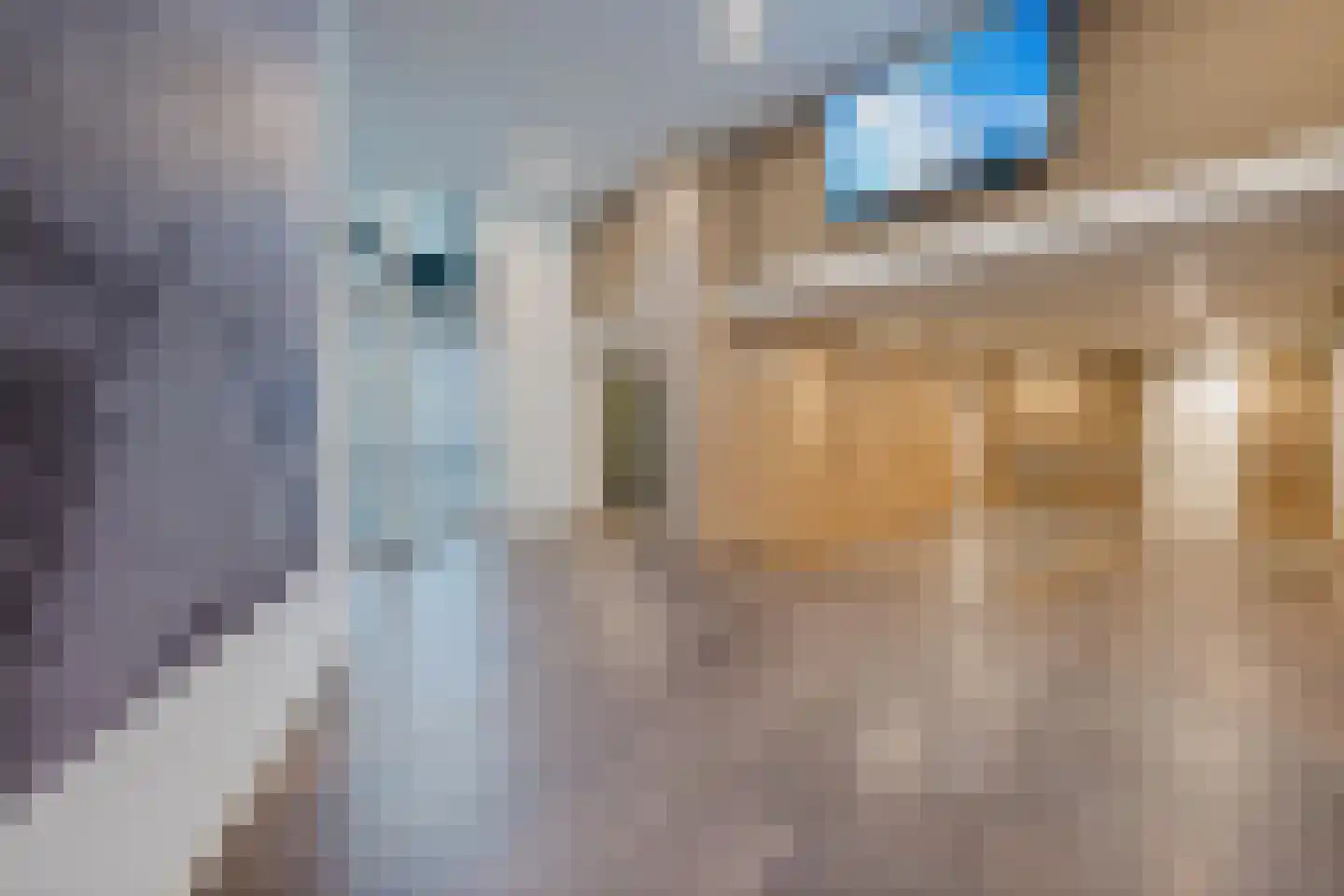 Laan van Vollenhove 532 Zeist thumbnail 8