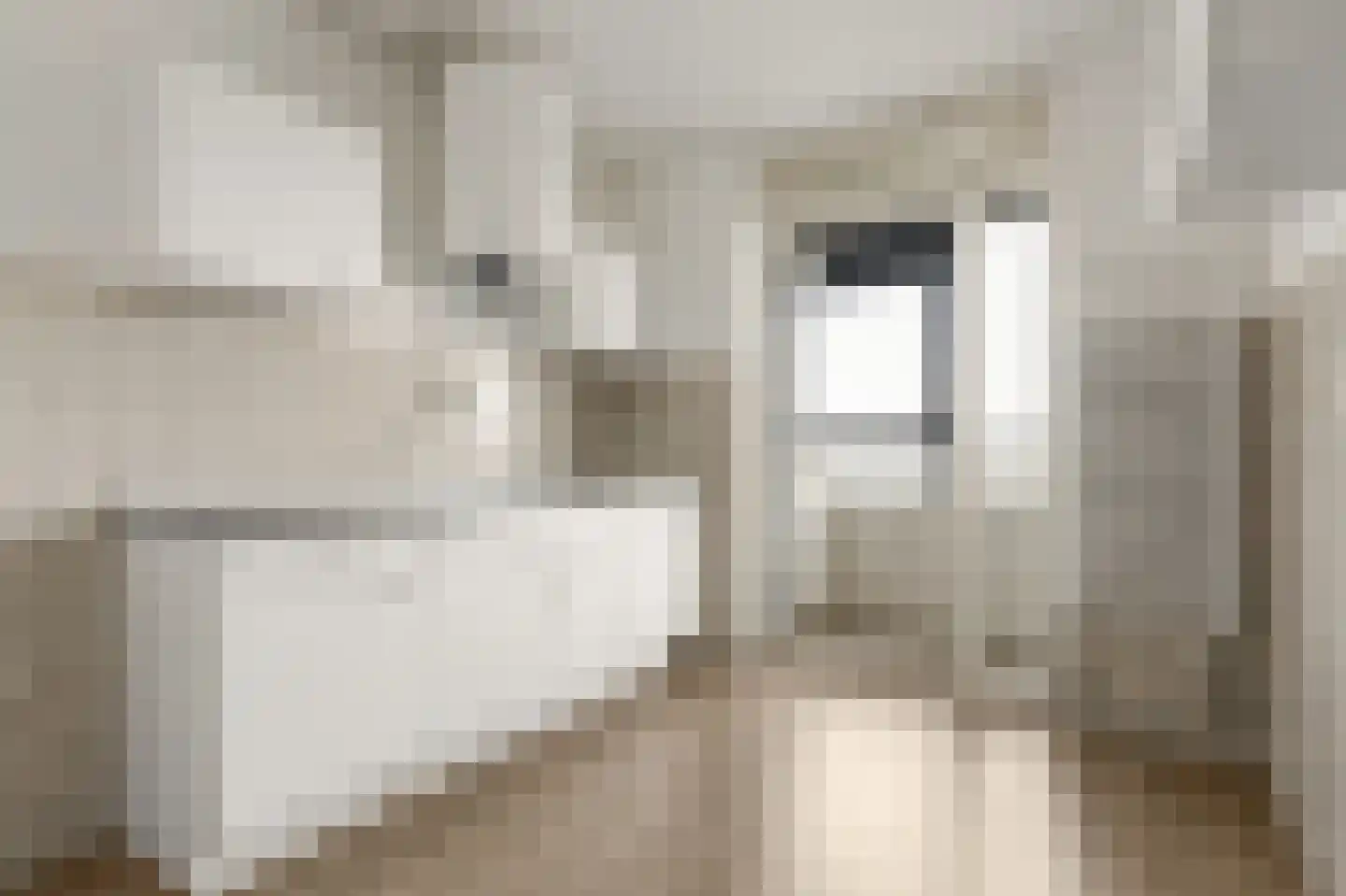 Laan van Vollenhove 542 Zeist thumbnail 21