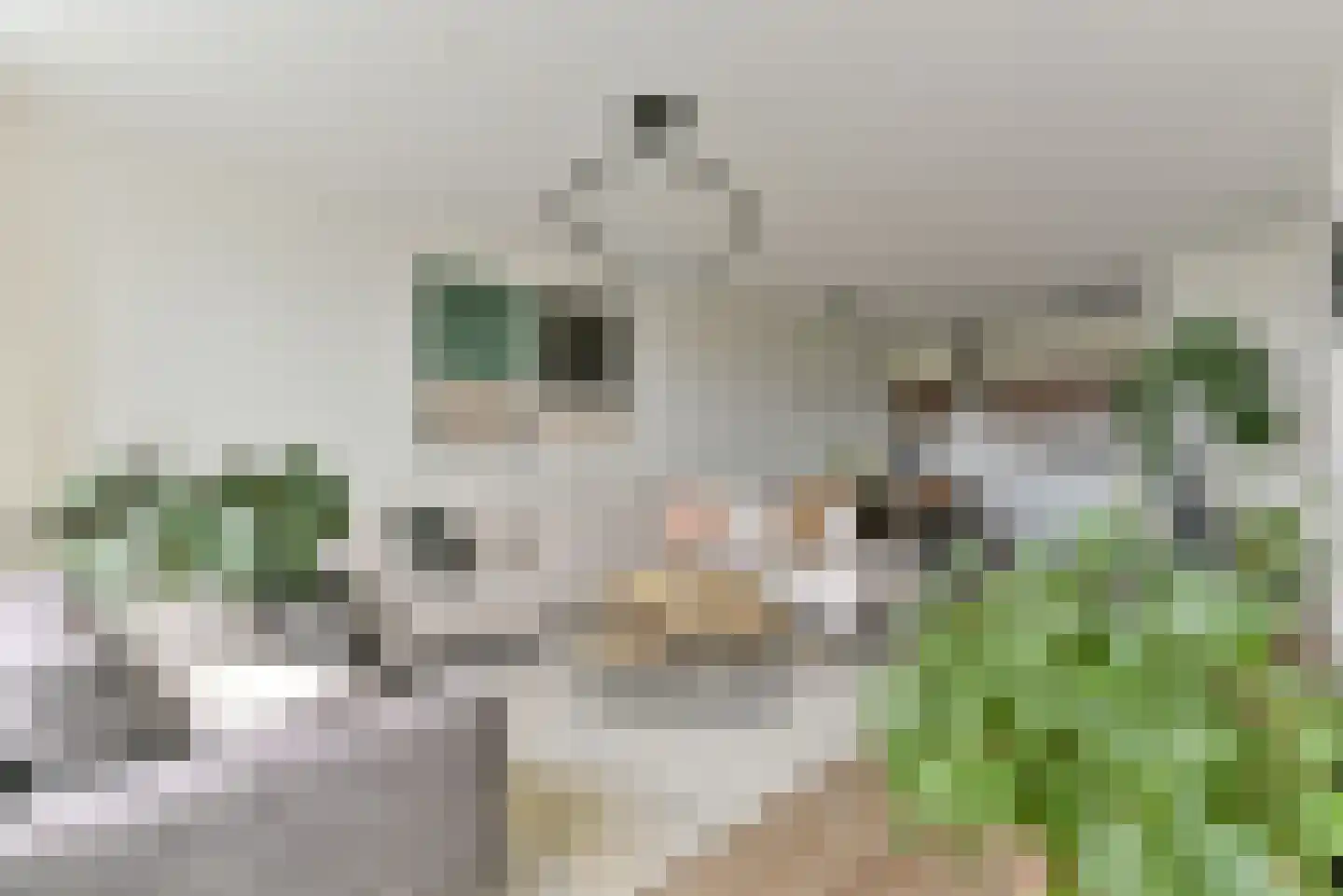 Laan van Vollenhove 546 BIS Zeist thumbnail 16