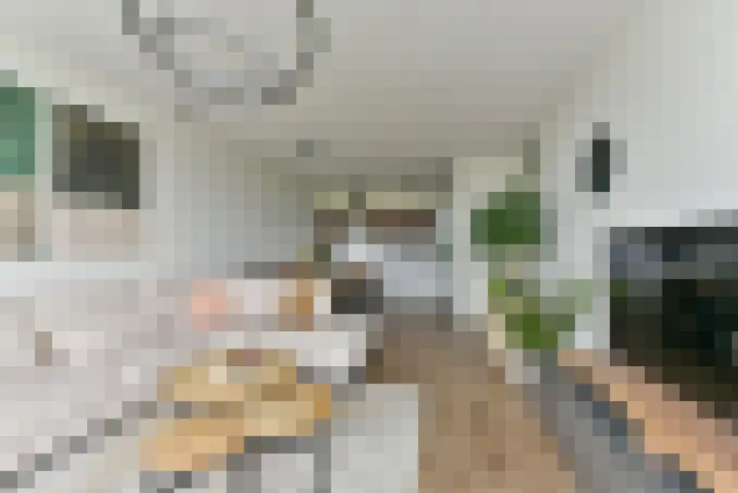 Laan van Vollenhove 546 BIS Zeist thumbnail 18