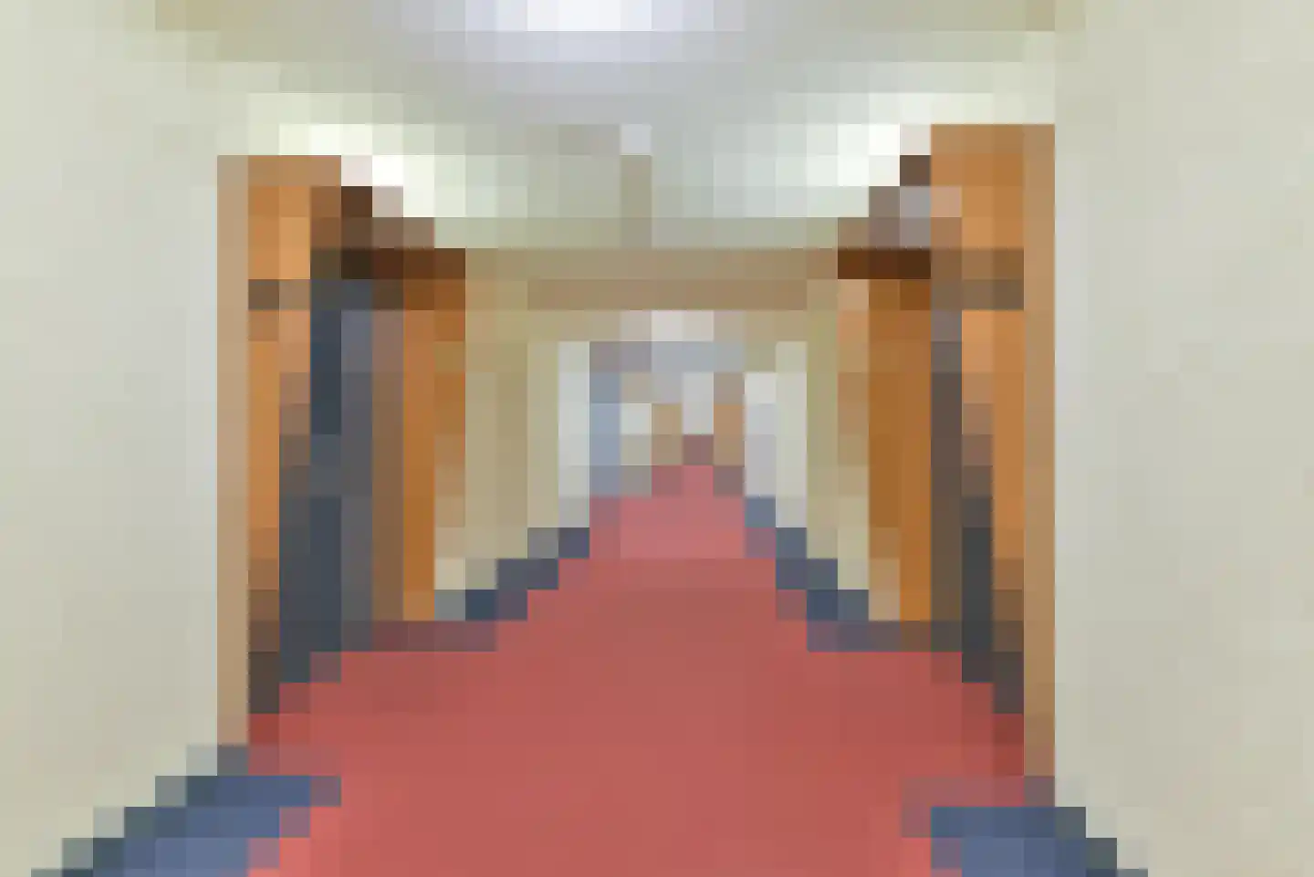 Laan van Vollenhove 546 BIS Zeist thumbnail 35
