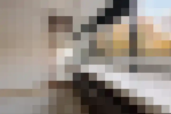 Laan van Vollenhove 56 Zeist thumbnail 13