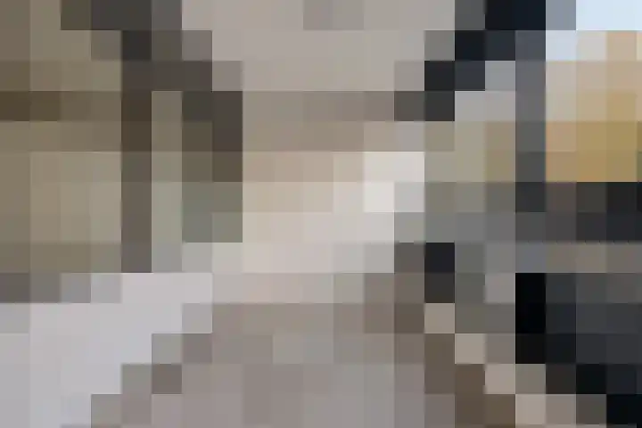 Laan van Vollenhove 56 Zeist thumbnail 14