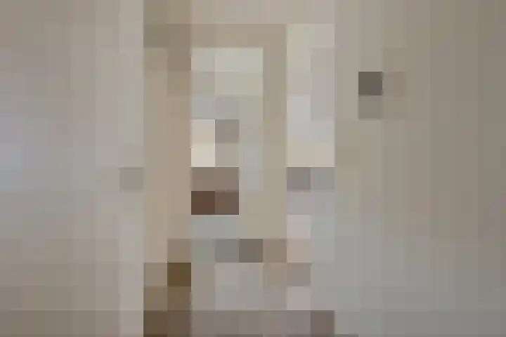 Laan van Vollenhove 56 Zeist thumbnail 9