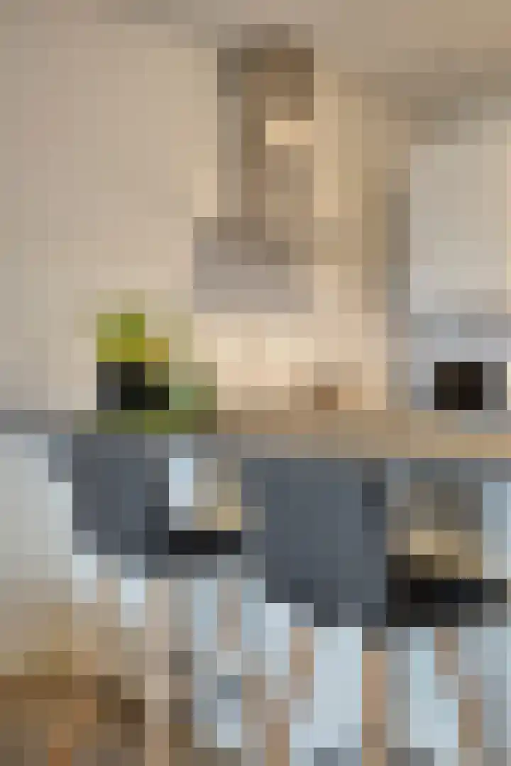 Laan van Vollenhove 568 Zeist thumbnail 12